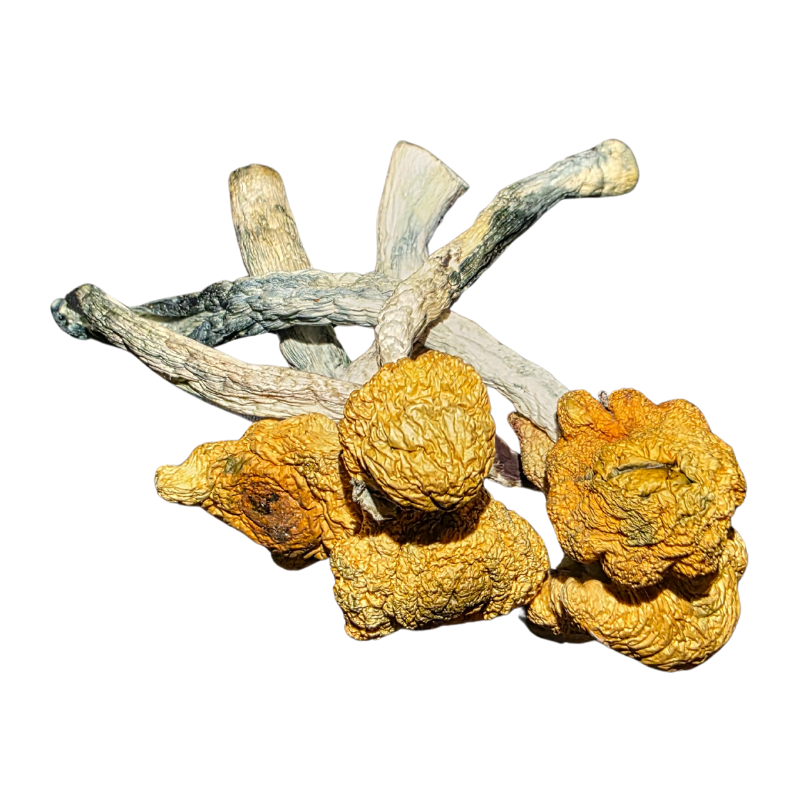 Koh Samui Super Strain (KSSS)