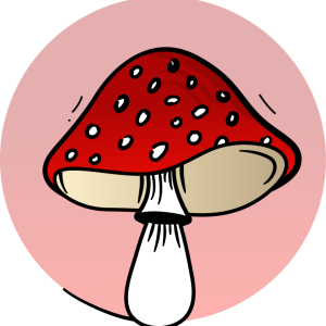 Dried Mushrooms